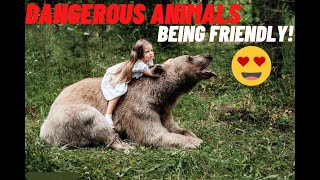 DANGEROUS Animals CAUGHT Being Friendly! 😮😮😮