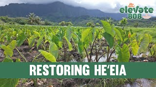 Kākoʻo ʻŌiwi: Healing the Land, Feeding the People