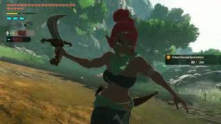 Hyrule Warriors: Age of Imprisonment | Part 59: Headstrong Warriors