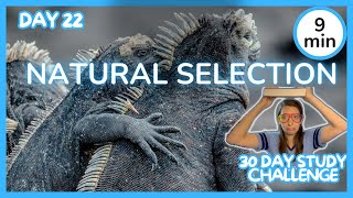 Day 22: Natural Selection - 30 Day Biology Study Challenge 2024