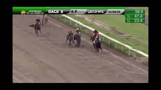 Joritz (MEX) - Segunda victoria (01 Septiembre 2023)