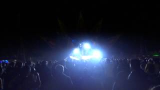 Tribe O Retorno - Sonic Species