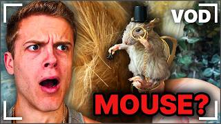 MrBeast React & Reacts Day #455 | Joe Bartolozzi