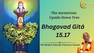 BG 15.17 || Iskcon Vrindavan || Bhakti Ashraya Vaisnava Swami