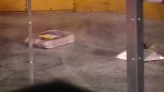 Bots IQ Wisconsin May 2012: Shockwave vs S.M.G