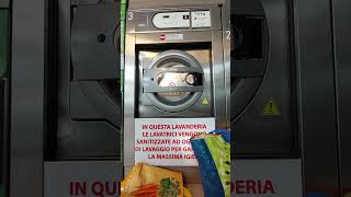 Domus 14KG commercial washer final rinse and spin (2 duvets)