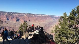 Arizona Day Trip At The Grand Canyon | South Rim - Walking Out To A Cliff!