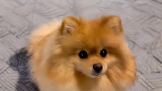 do u think i'm cute?