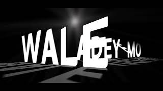 Wale Adeyemo party