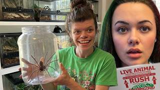 Unboxing Spiders, Snakes & Bugs with Alexandra | Celebrating the Beautifully Weird 🕷️🐍🖤