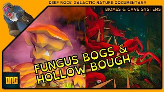 Fungus Bogs & Hollow Bough | Deep Rock Galactic Hoxxes IV Documentary