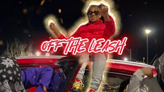 Off The Leash - Swervo