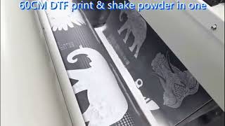 60cm dtf printer with shaker all in one