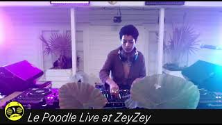 Le Poodle - Live at ZeyZey Miami