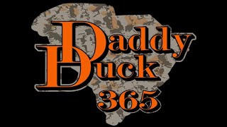 Daddy Duck 365 Live - In The Blind - Lets talk Duck Hunting