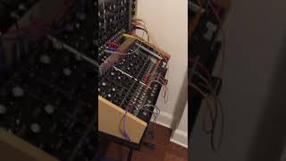 Oakley ASV 4-voice, first pass