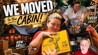 Cabin Life Day 1… And It’s Already CRAZY! Moved In Today… and Immediately Put to Work!! 
