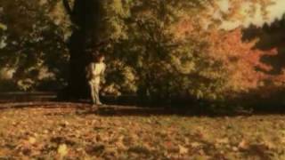 floasis @ arboretum october 2009