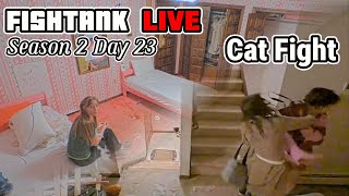 Fishtank LIVE S2 Day 23 - DRAMA DIGEST - Tayleigh Punches Trisha