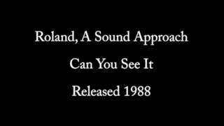Can You See It from A Sound Approach CD