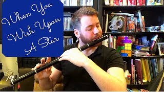 When you wish upon a Star Disney Cover Flute Chris McMullan