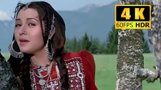 Main Hoon Khushrang Henna - 4K60FPS _ Lata Mangeshkar _ Zeba Bakhtiar _ Romantic Hindi Song