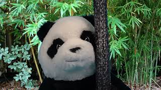 Teaser 10: Come to the PandA day 2024!