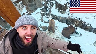 British Guy visits the USA for the FIRST TIME... "BLOWN AWAY"