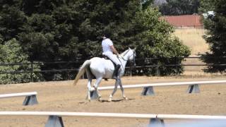 Copy of Khourajous Zoria Training level Test 3