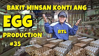 DAHILAN KUNG BAKIT KONTI ANG EGG PRODUCTION SA RTL DAPAT MALAMAN MO ITO 1