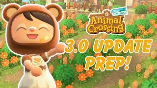 Everything We NEED To Do To Prep for ACNH 3.0 #animalcrossing