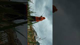 #catfishing  Catfish hunting #fishing  #fish  #catfish