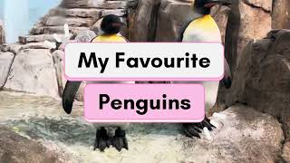 Montreal Biodome Vlog - Good for kids and Adults