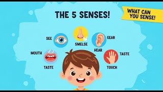 The Five Senses | Educational Video for Kids | Learn Sight, Smell, Sound, Taste & Touch