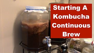 Cleaning the Kombucha Scoby Garage -  Making a Continuous Kombucha brew