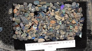 Ro2334 - Nobby Opal Mine Run Parcel from Lightning Ridge, Australia