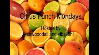 CITRUS PUNCH MONDAY - WINNINGS - from  SEWGOODALL