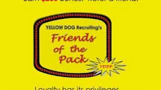 YELLOW DOG RECRUITING