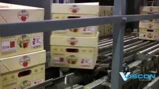 Viscon Fresh Produce - Peppers automation