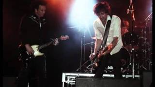 Live Music Photography Showcase
