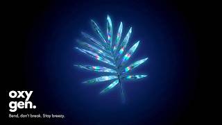 prism palm. (endurance flow)