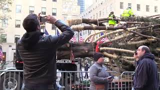 A Big Tree Arrives in NYC from the film "The Tree That Visited New York City for the Holidays"