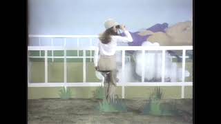 Levis - The County Seat