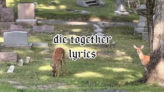 die together - tinyartbean (lyric video)