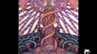 Embryo Infinity Rebirth - Walls (1971)