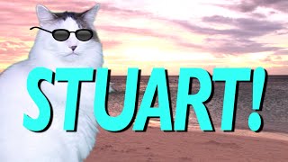 HAPPY BIRTHDAY STUART! - EPIC CAT Happy Birthday Song