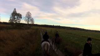 Savijärvi - Horseriding in terrain / Ratsastusta maastossa / Ridning i terrängen