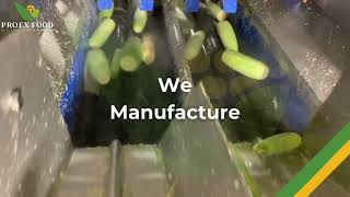 PROEX FOOD for Reliable Corn Machinery and Turnkey Processing Lines