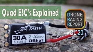 Electronic Speed Controllers - Understanding Quad ESC's | Drone Racing Report | Vol 20