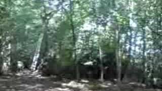 Zip wire at Jacobs Farm Imo - crash